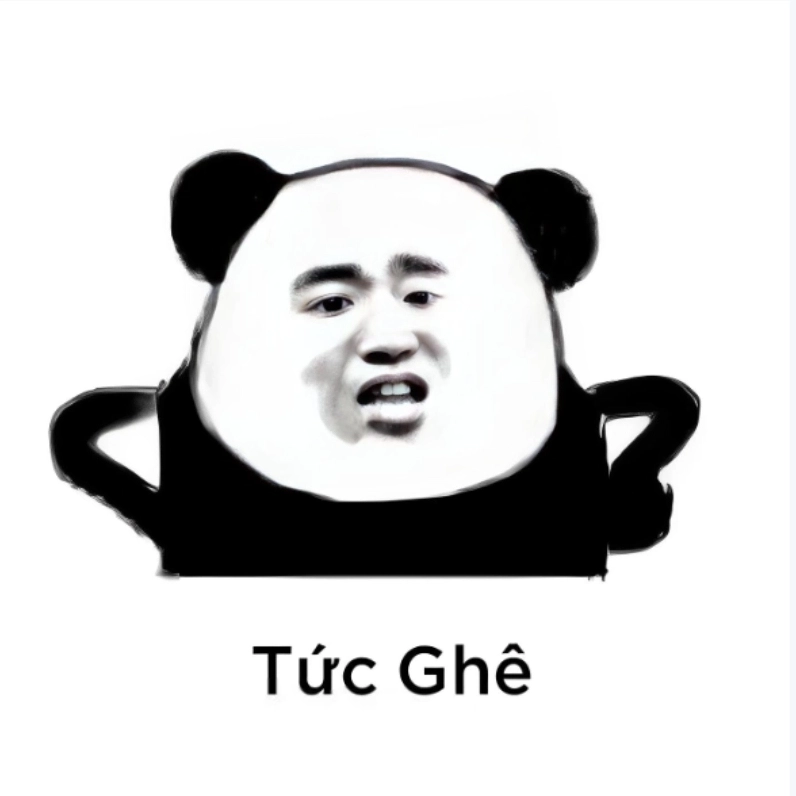 Meme gấu trúc tức giận đến mức muốn đấm luôn