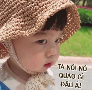 Meme Tức Giận Là Gì? Giải Mã Hiện Tượng Mạng Xã Hội 2026