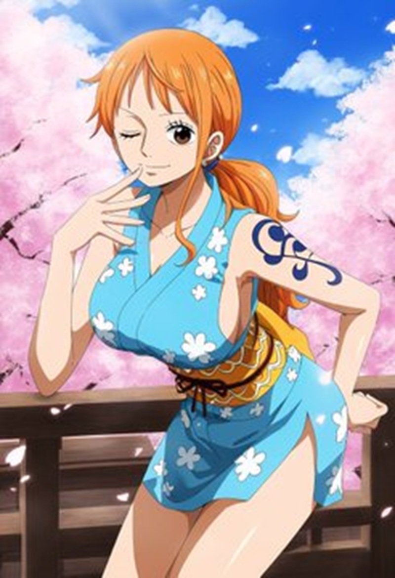 nami sexy 11