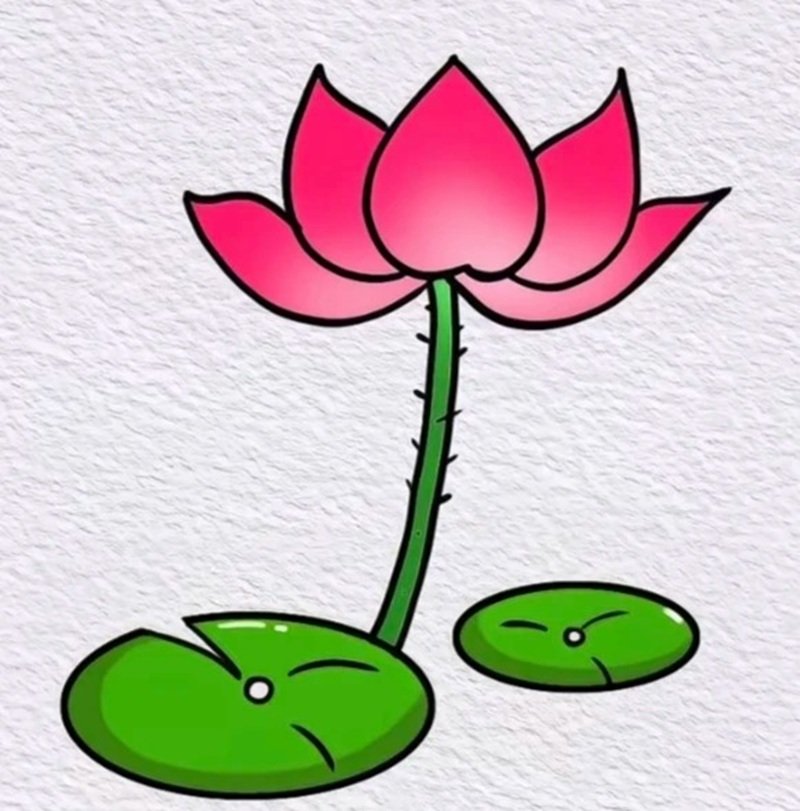 vẽ hoa sen đơn giản 11