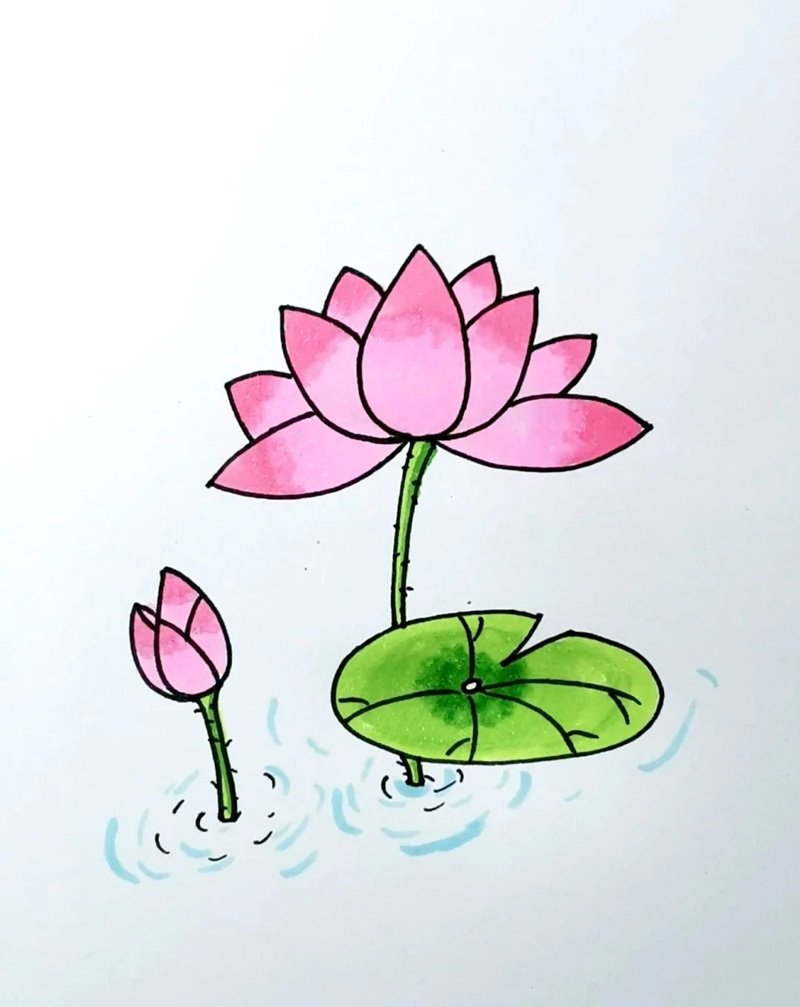 vẽ hoa sen đơn giản 15