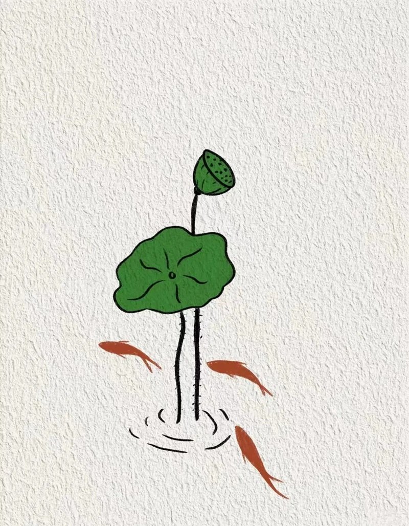 vẽ hoa sen đơn giản 16