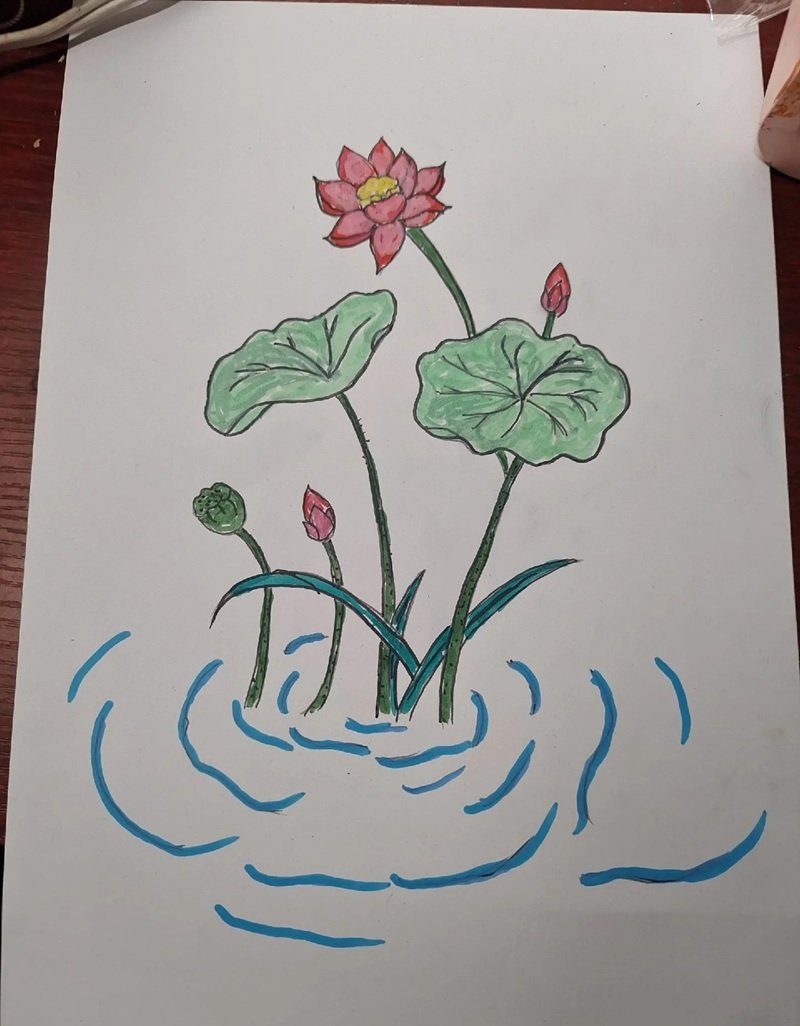 vẽ hoa sen đơn giản 19