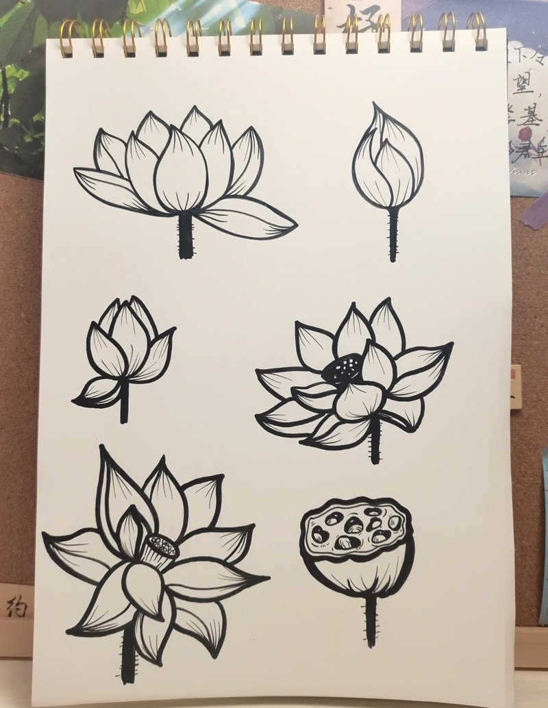 vẽ hoa sen đơn giản 22