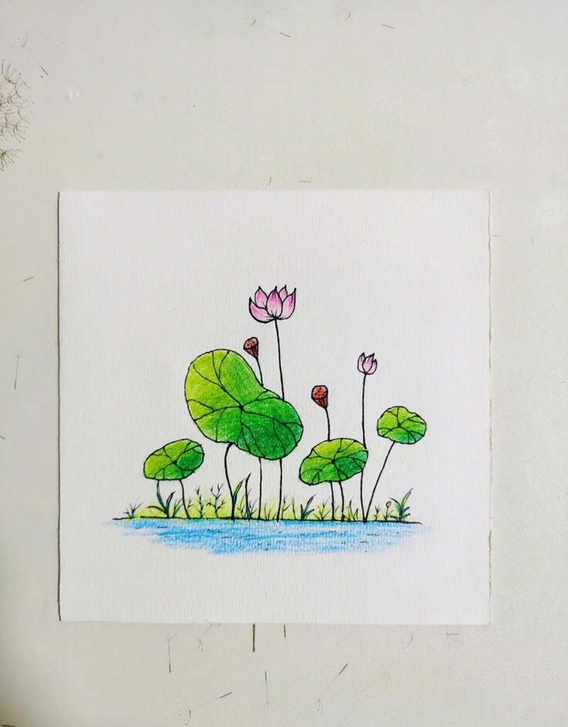 vẽ hoa sen đơn giản 25