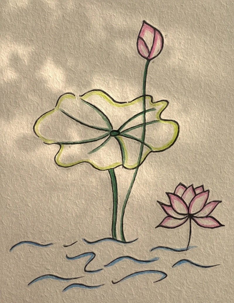 vẽ hoa sen đơn giản 35