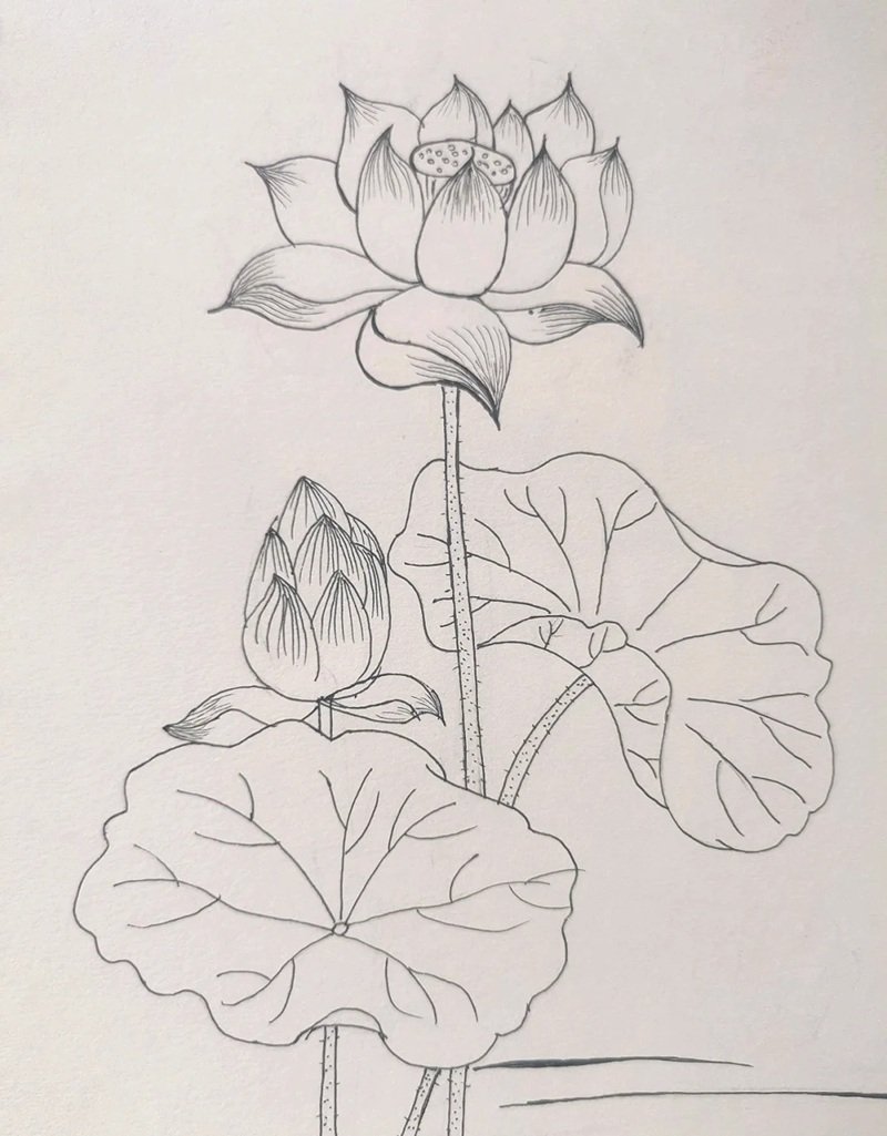 vẽ hoa sen đơn giản 7
