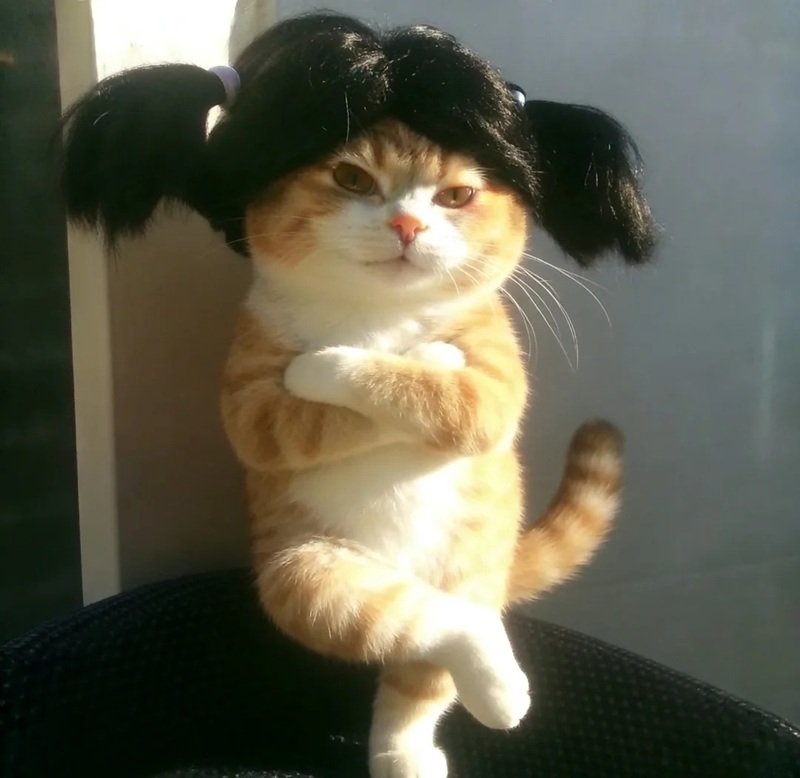 Cute với avatar vô tri ngầu