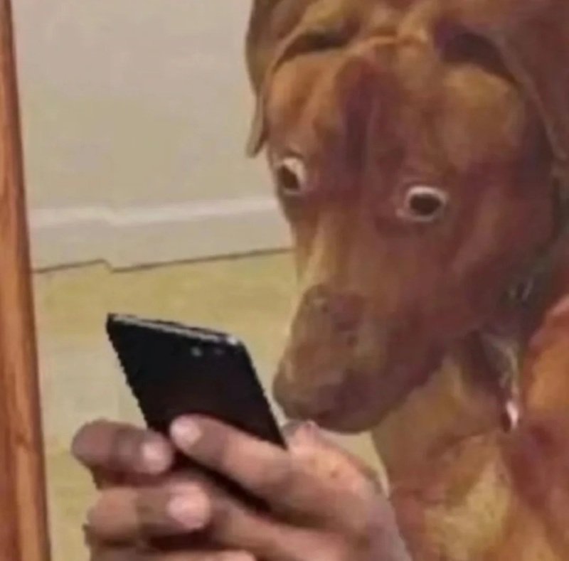meme bất ngờ 20