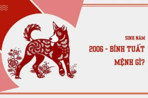 2006 Mệnh Gì, Hợp Màu Gì? Bật Mí Màu Sắc Thu Hút Vận May, Tài Lộc 2026!