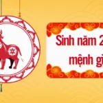 Bé Gái Sinh Năm 2021 Thuộc Mệnh Gì? Giải Mã Toàn Diện Vận Mệnh & Phong Thủy