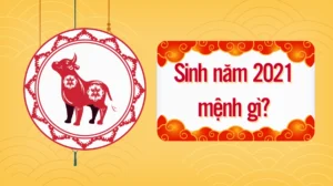 Bé Gái Sinh Năm 2021 Thuộc Mệnh Gì? Giải Mã Toàn Diện Vận Mệnh & Phong Thủy