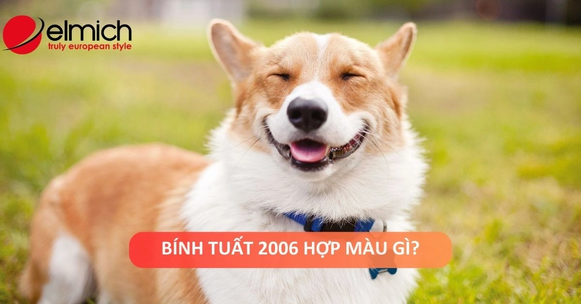 Bính Tuất 2006 hợp màu gì giúp đón vận may, tài lộc tới tấp?