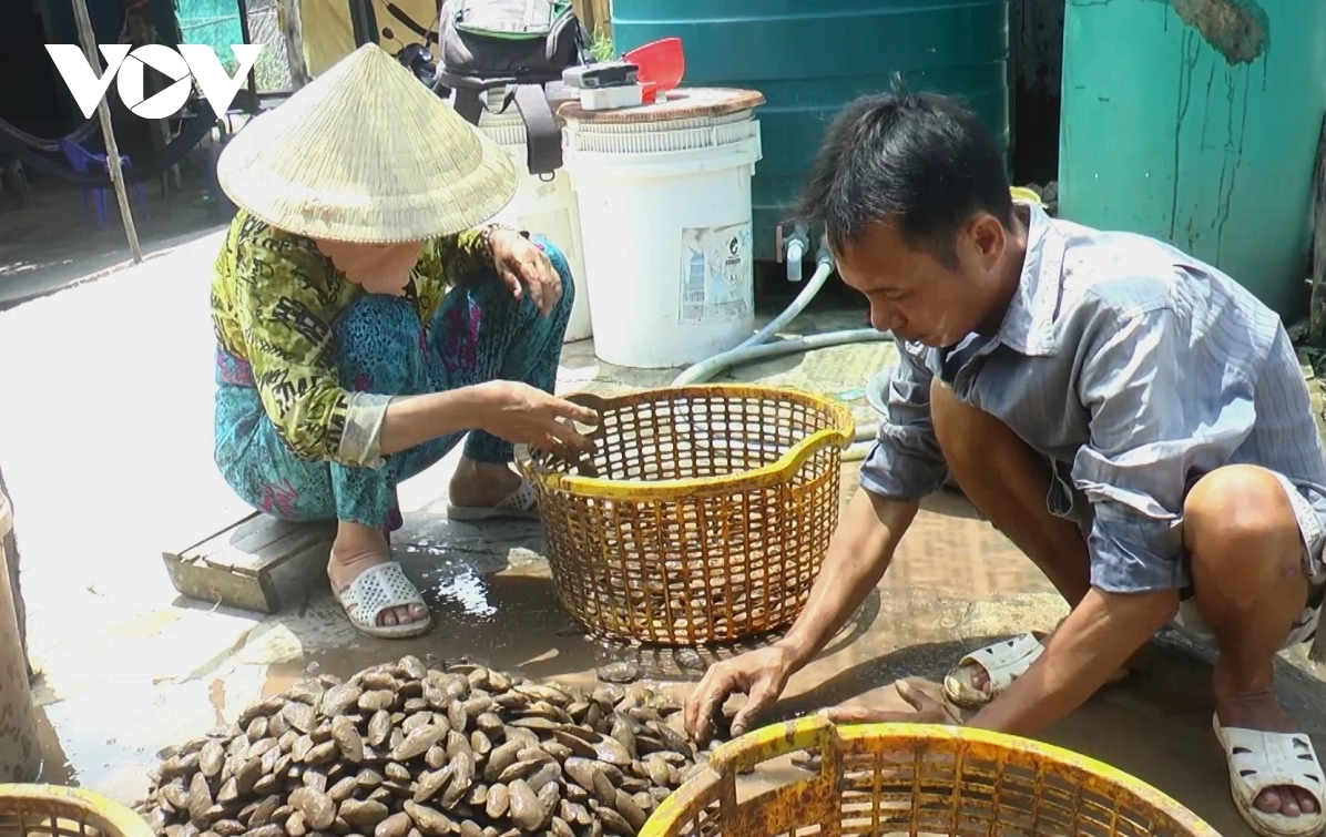 Làm nghề bắt chem chép giúp tăng thu nhập cho người dân vùng ven biển huyện Đầm Dơi, Cà Mau