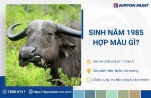 Nữ Sinh Năm 1985 Hợp Màu Gì? Khám Phá Bí Quyết Thu Hút Tài Lộc 2026!