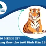 Sinh năm 1986 mệnh gì nữ mạng? Giải mã Tử vi Bình Dần 2026 chi tiết nhất