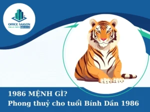 Sinh năm 1986 mệnh gì nữ mạng? Giải mã Tử vi Bình Dần 2026 chi tiết nhất
