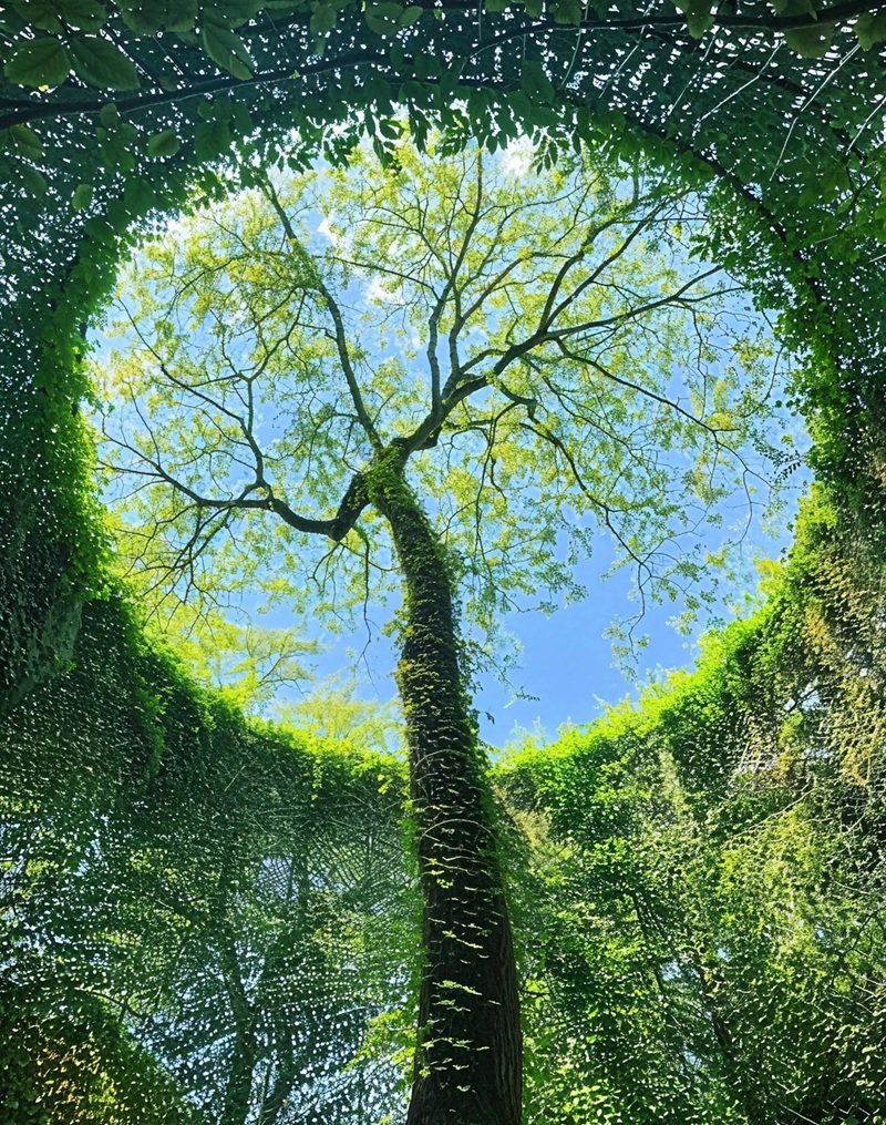 Avatar phong cảnh mùa thu đẹp