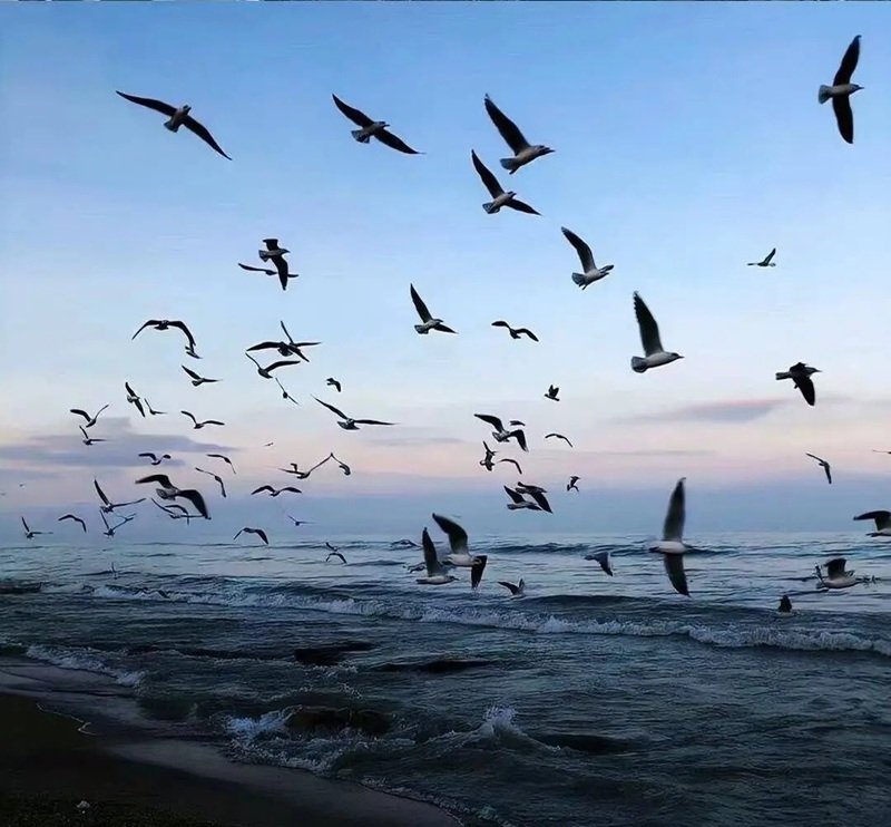 Avatar chill phong cảnh bãi biển hoang sơ