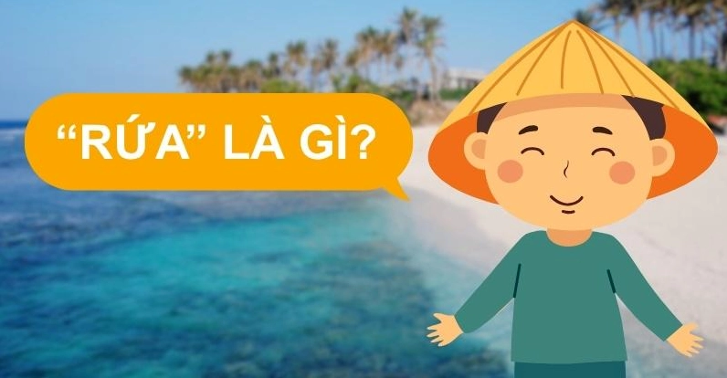Giải thích \