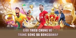 Đánh Giá Ưu Điểm Nổi Bật Của Trang Bóng Đá Bongdawap 